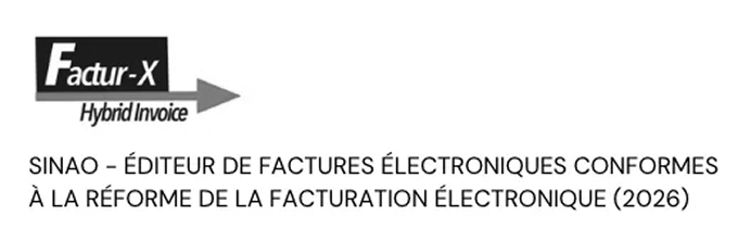 Factur-X Hybrid Invoice